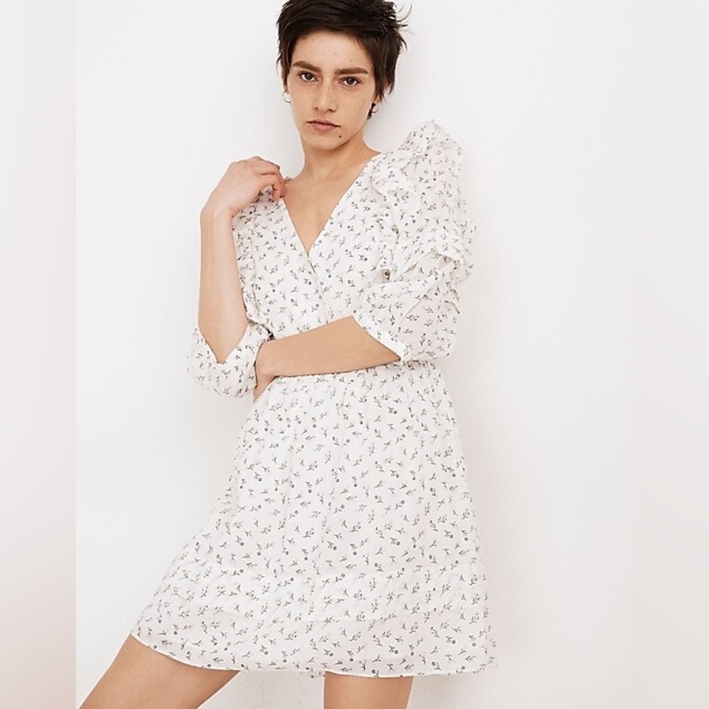 Madewell Ruffled Pleat-Sleeve Mini Dress in Spring Fling